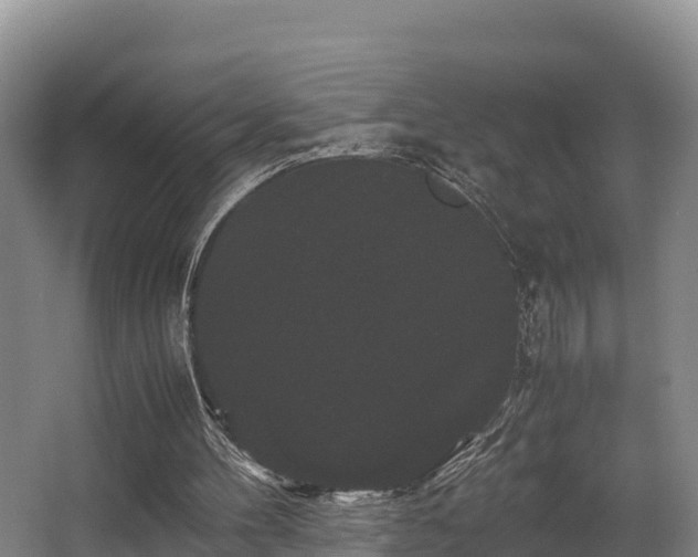 X0000062830100200601171430