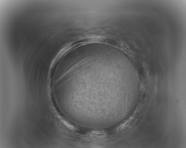 X0000062830101200601171430