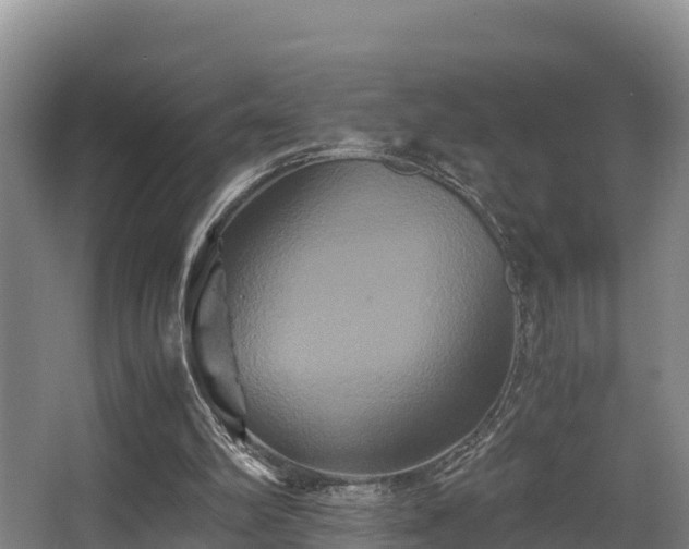 X0000062830102200601171430