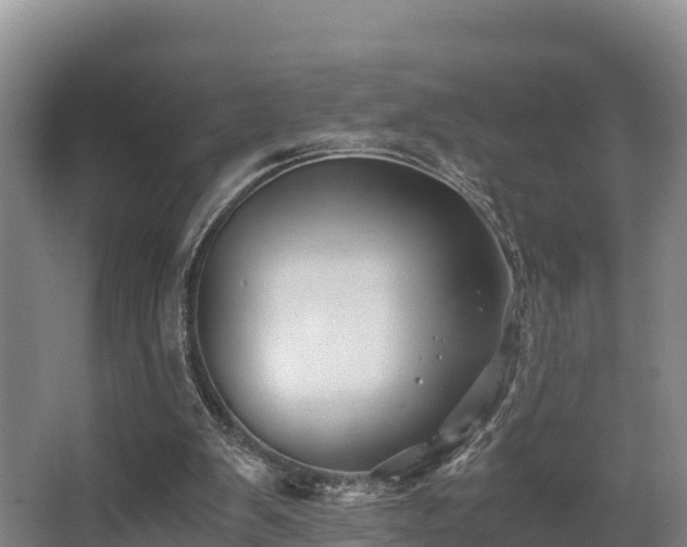 X0000062830103200601171430