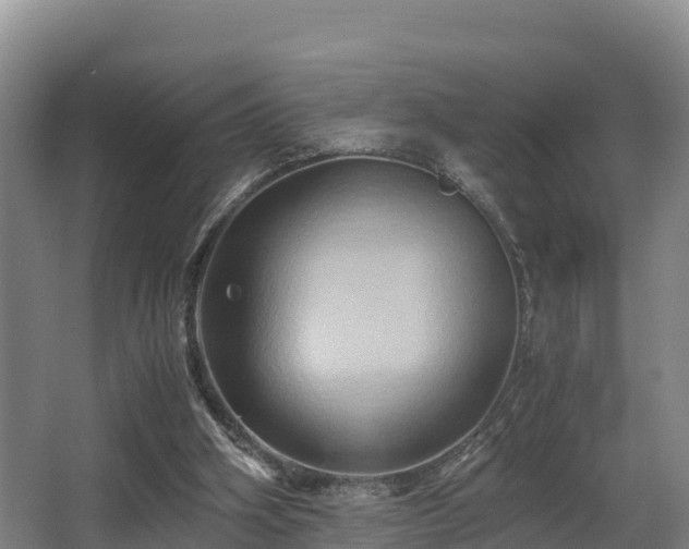 X0000062830106200601171430