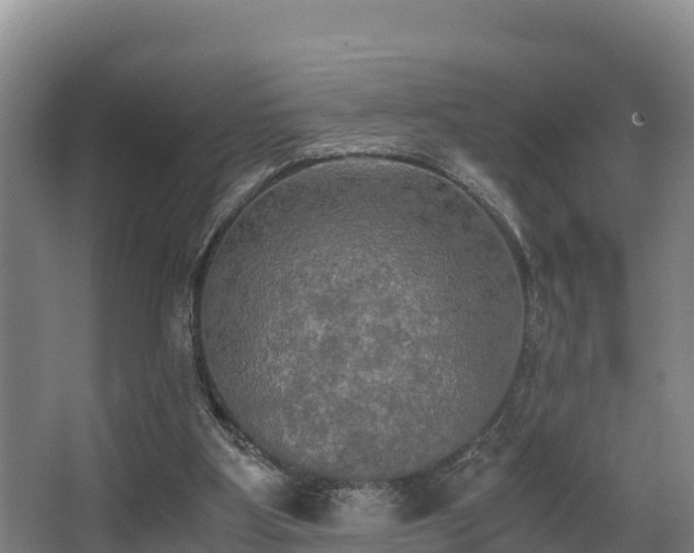 X0000062830107200601171430