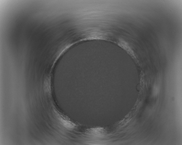 X0000062830108200601171430