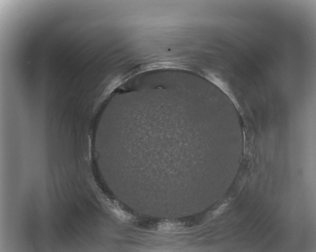 X0000062830109200601171429