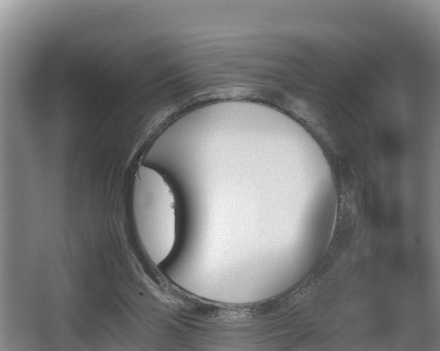 X0000062830110200601171429