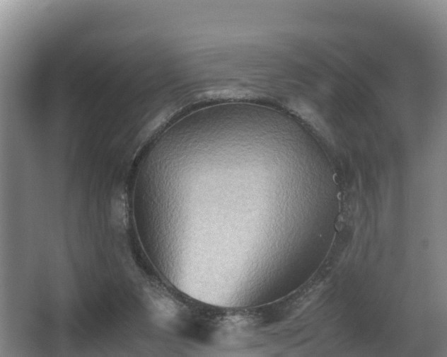 X0000062830111200601171429