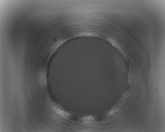 X0000062830112200601171429