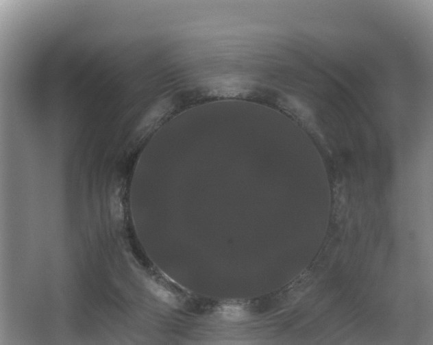 X0000062830114200601171429