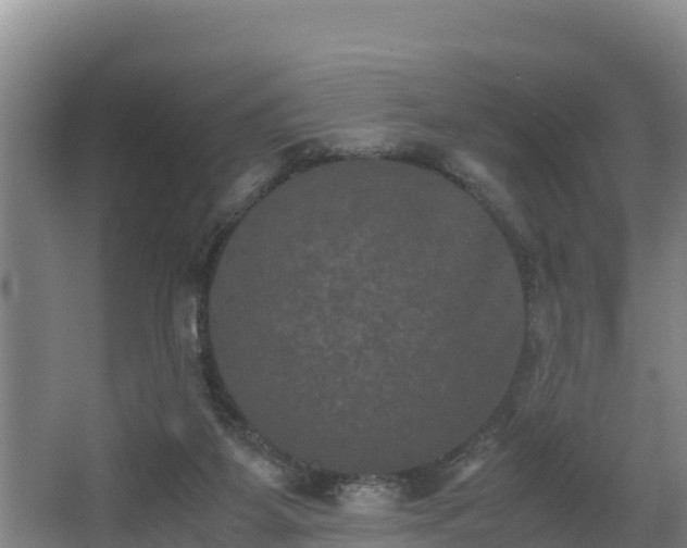 X0000062830115200601171429