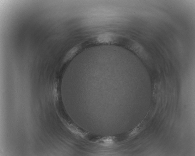 X0000062830116200601171429