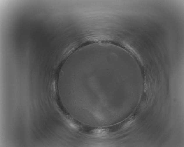 X0000062830117200601171429