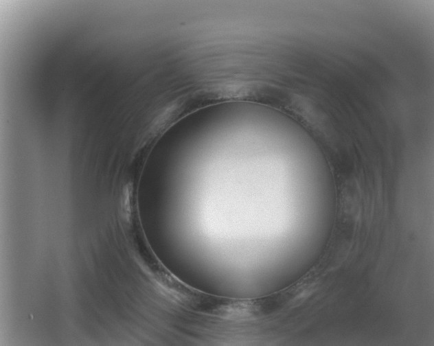 X0000062830118200601171429