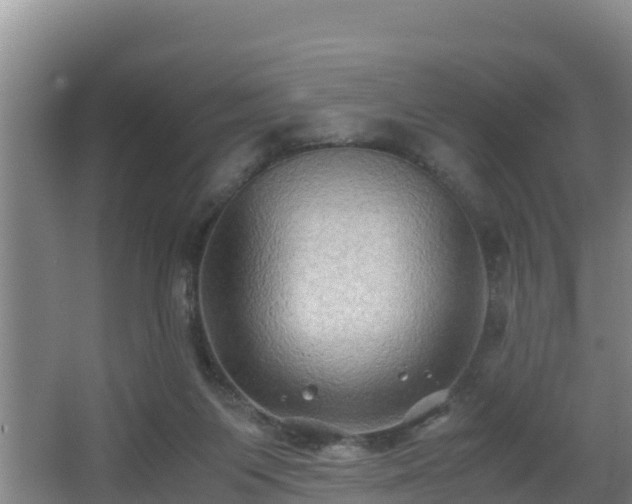 X0000062830119200601171429