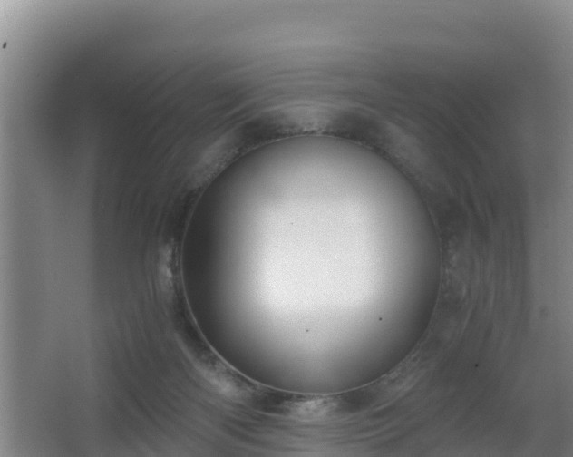 X0000062830122200601171429