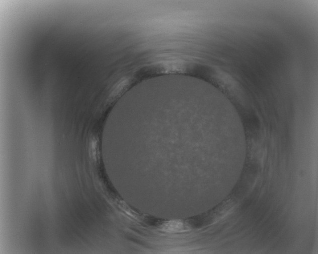 X0000062830123200601171429