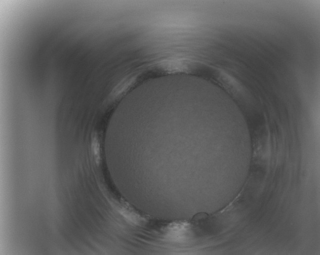 X0000062830124200601171429