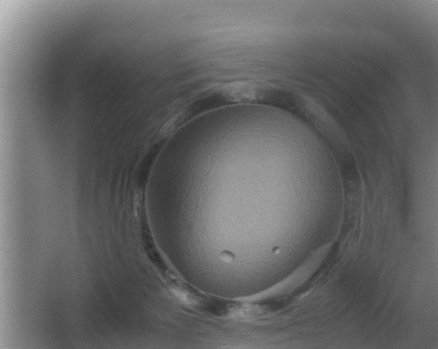 X0000062830125200601171429