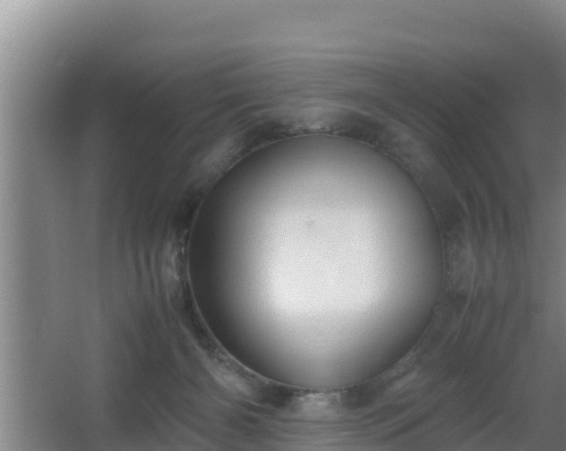 X0000062830126200601171429