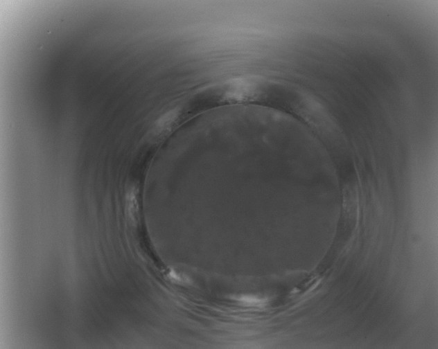 X0000062830127200601171429