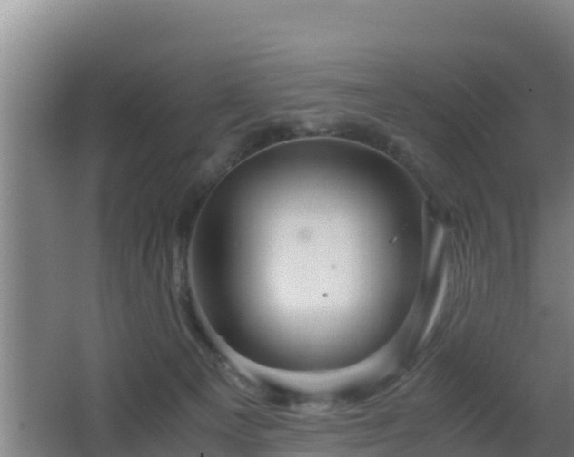 X0000062830129200601171429