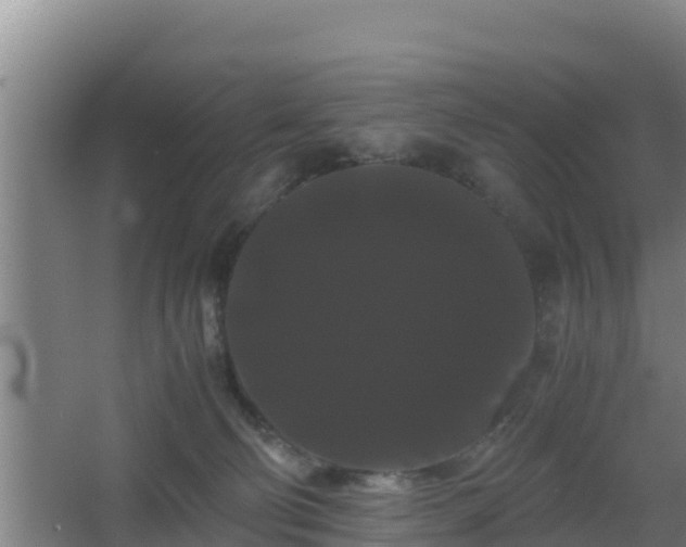 X0000062830130200601171429