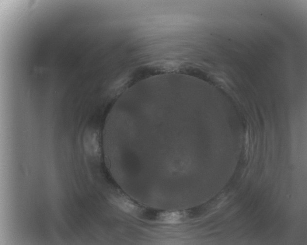 X0000062830131200601171429