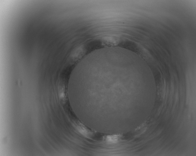 X0000062830134200601171429