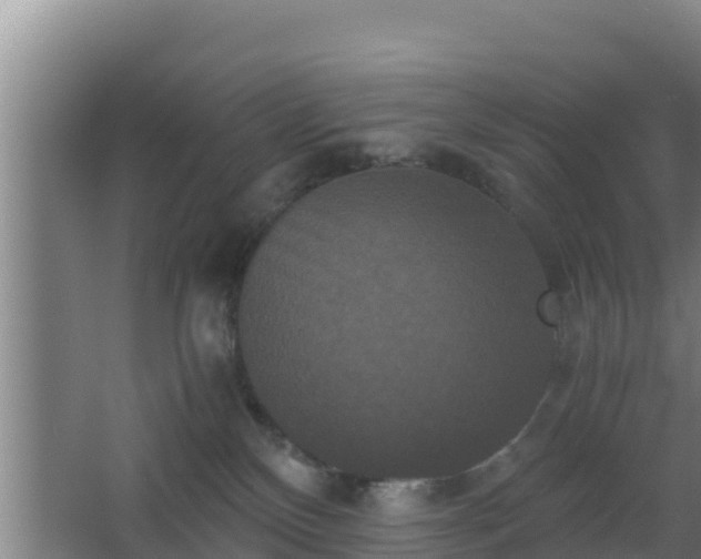 X0000062830136200601171429