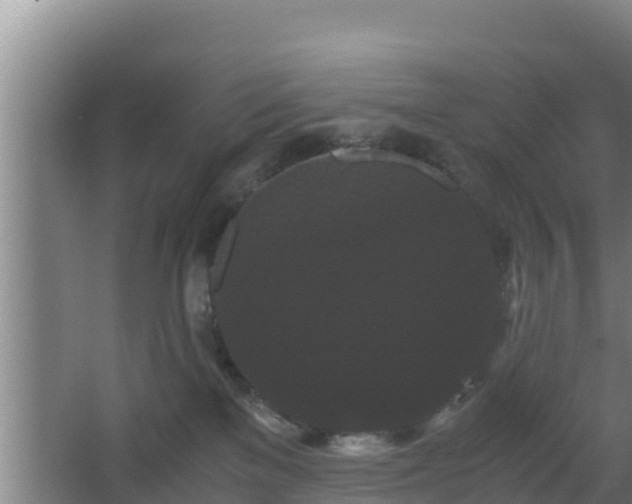 X0000062830137200601171429