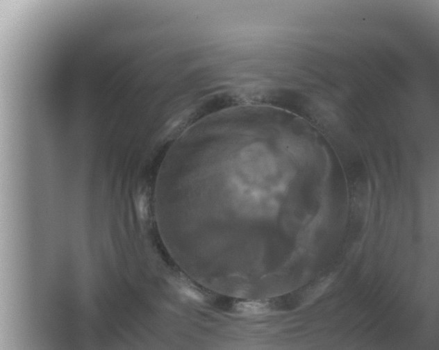 X0000062830139200601171429