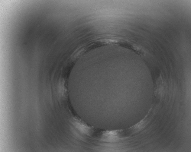 X0000062830140200601171429