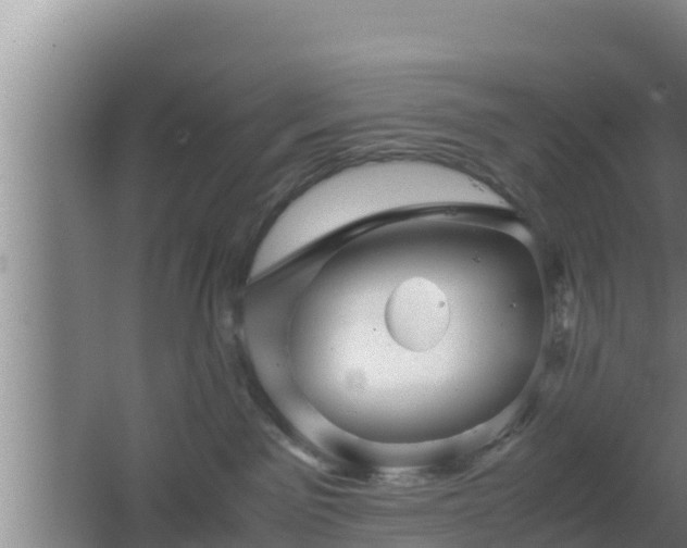 X0000062830141200601171429