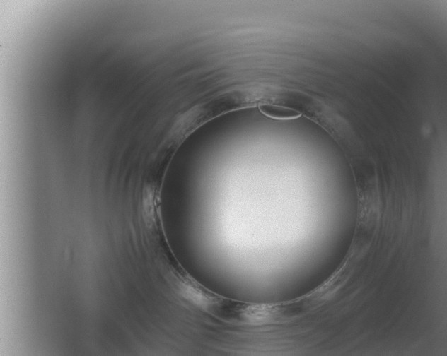 X0000062830142200601171429