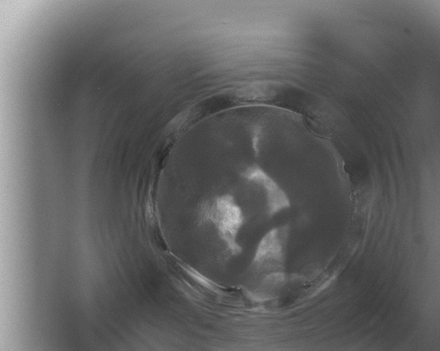 X0000062830143200601171429