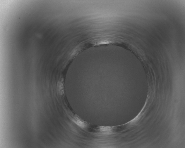 X0000062830144200601171429