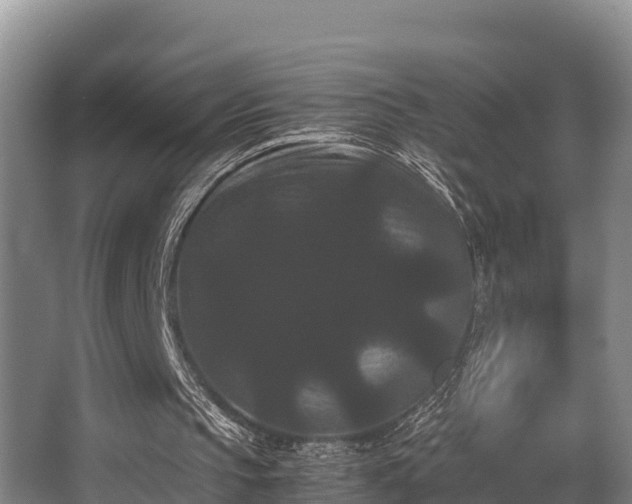 X0000062830145200601171428