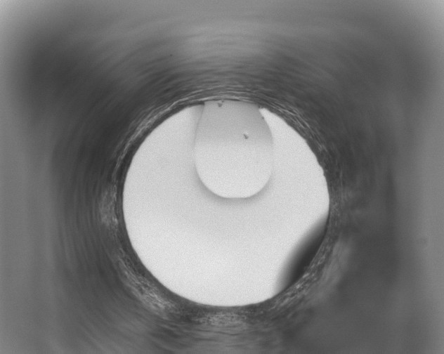 X0000062830146200601171428