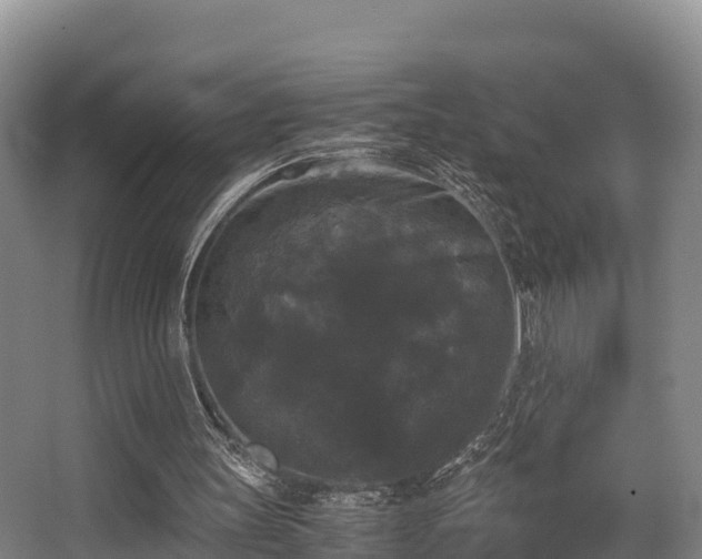 X0000062830147200601171428