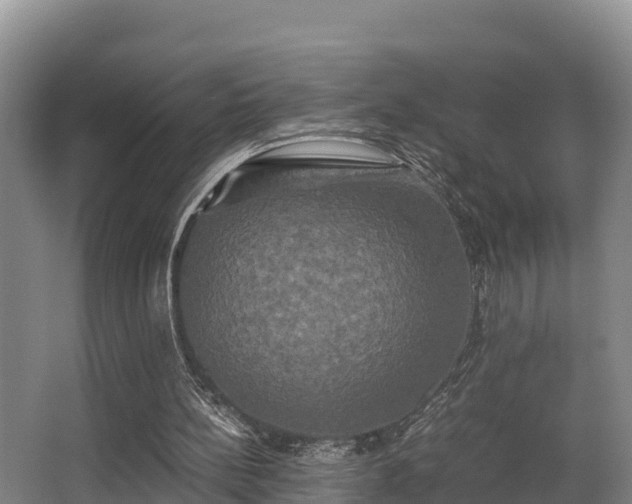 X0000062830148200601171428