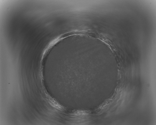 X0000062830149200601171428