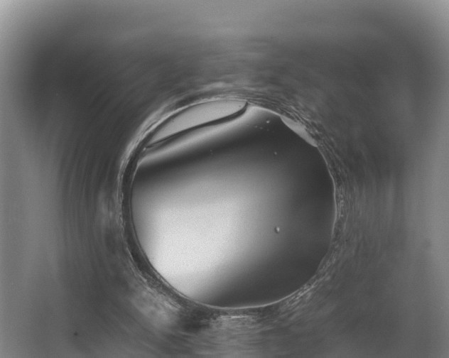 X0000062830150200601171428