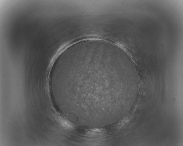 X0000062830151200601171428