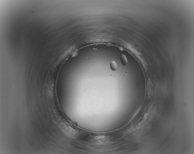 X0000062830153200601171428