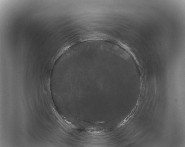 X0000062830154200601171428