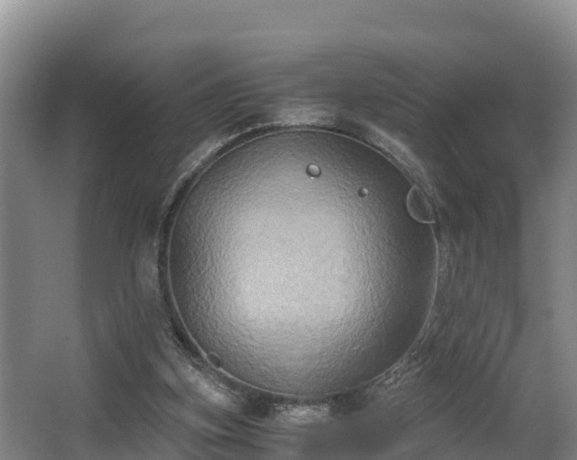 X0000062830155200601171428