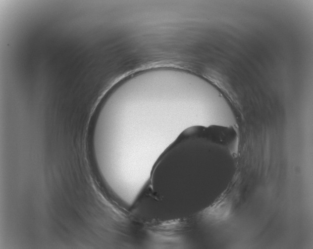 X0000062830156200601171428