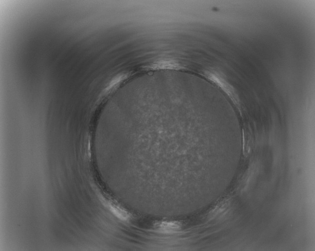 X0000062830157200601171428