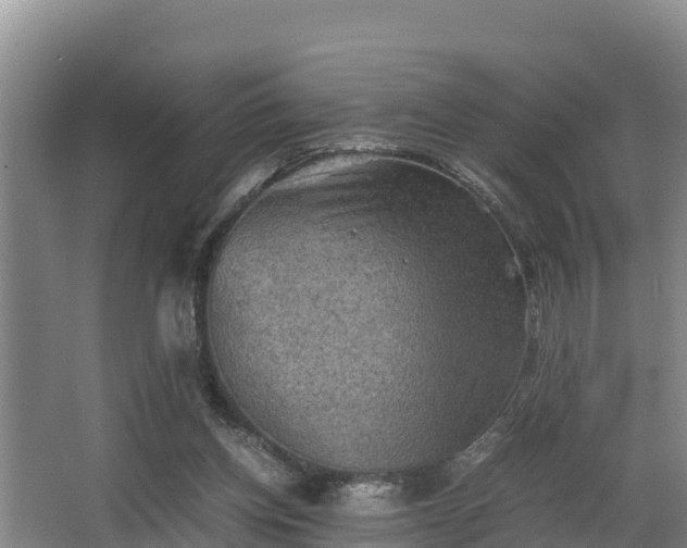 X0000062830158200601171428