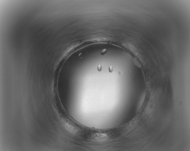 X0000062830159200601171428