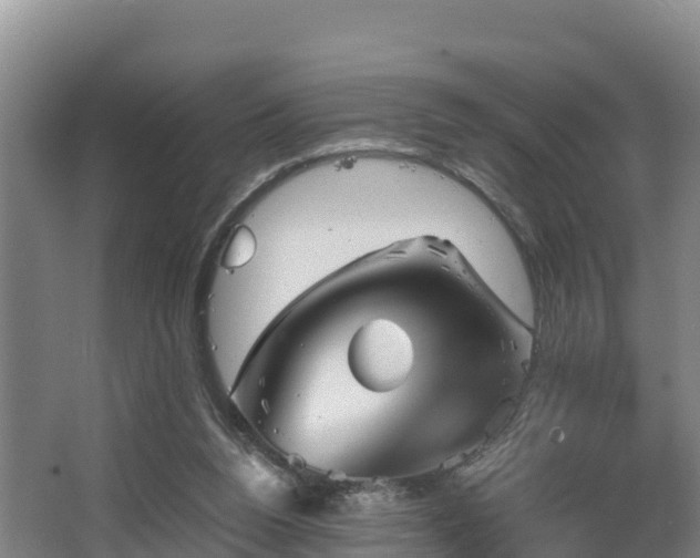 X0000062830160200601171428